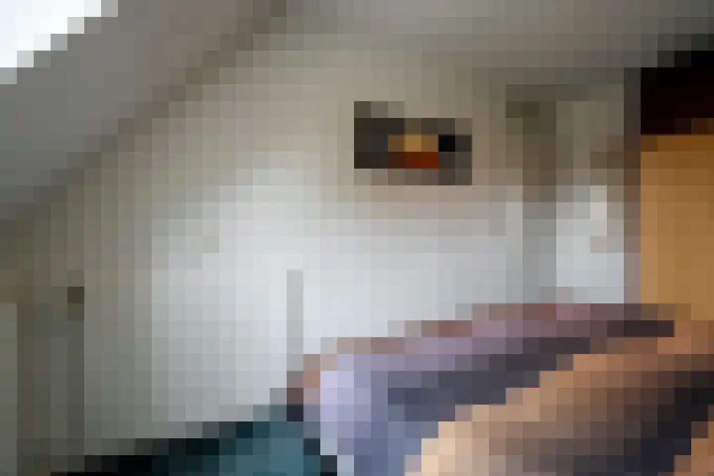 Juursemakluft 5 Grijpskerk thumbnail 37