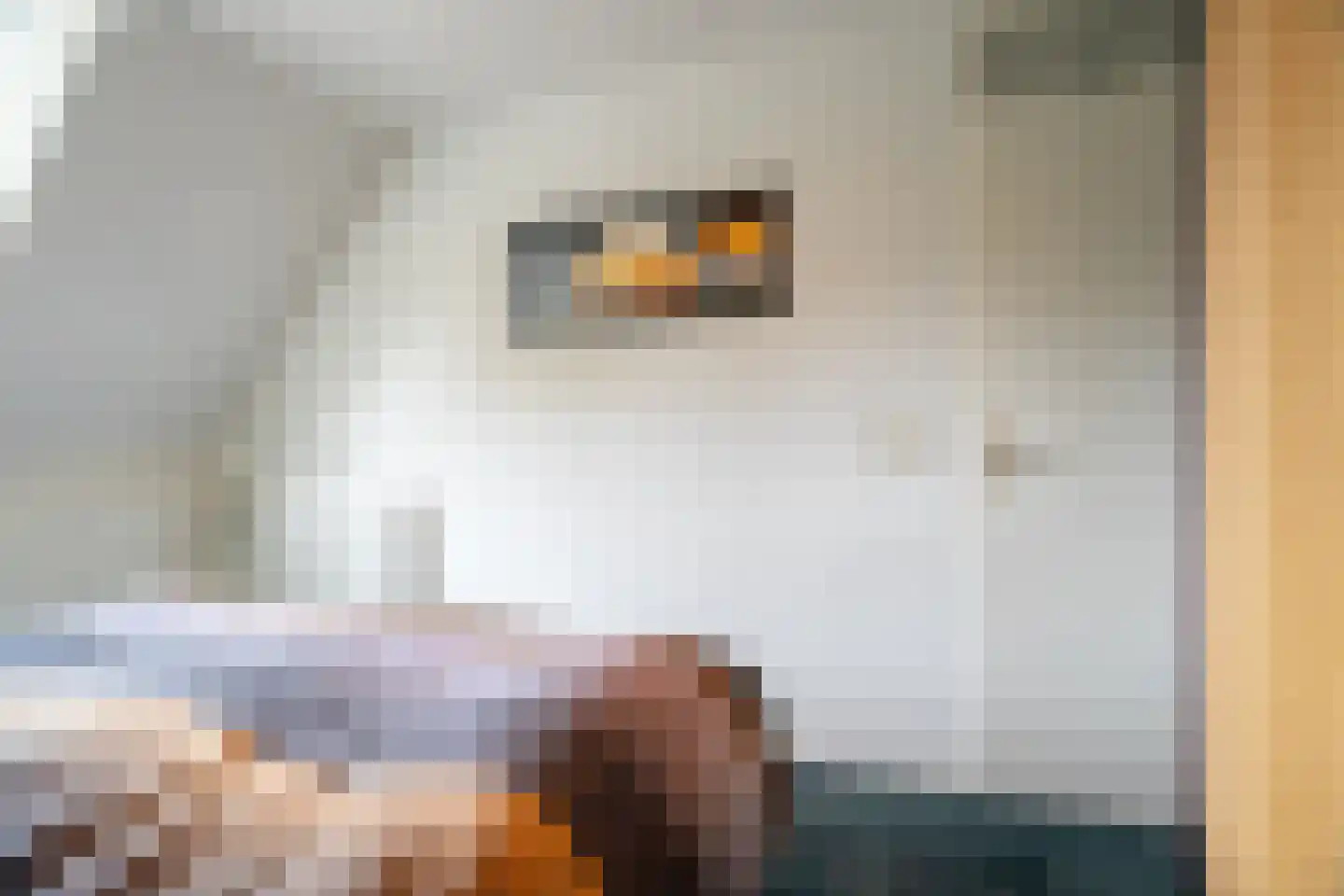 Juursemakluft 5 Grijpskerk thumbnail 38
