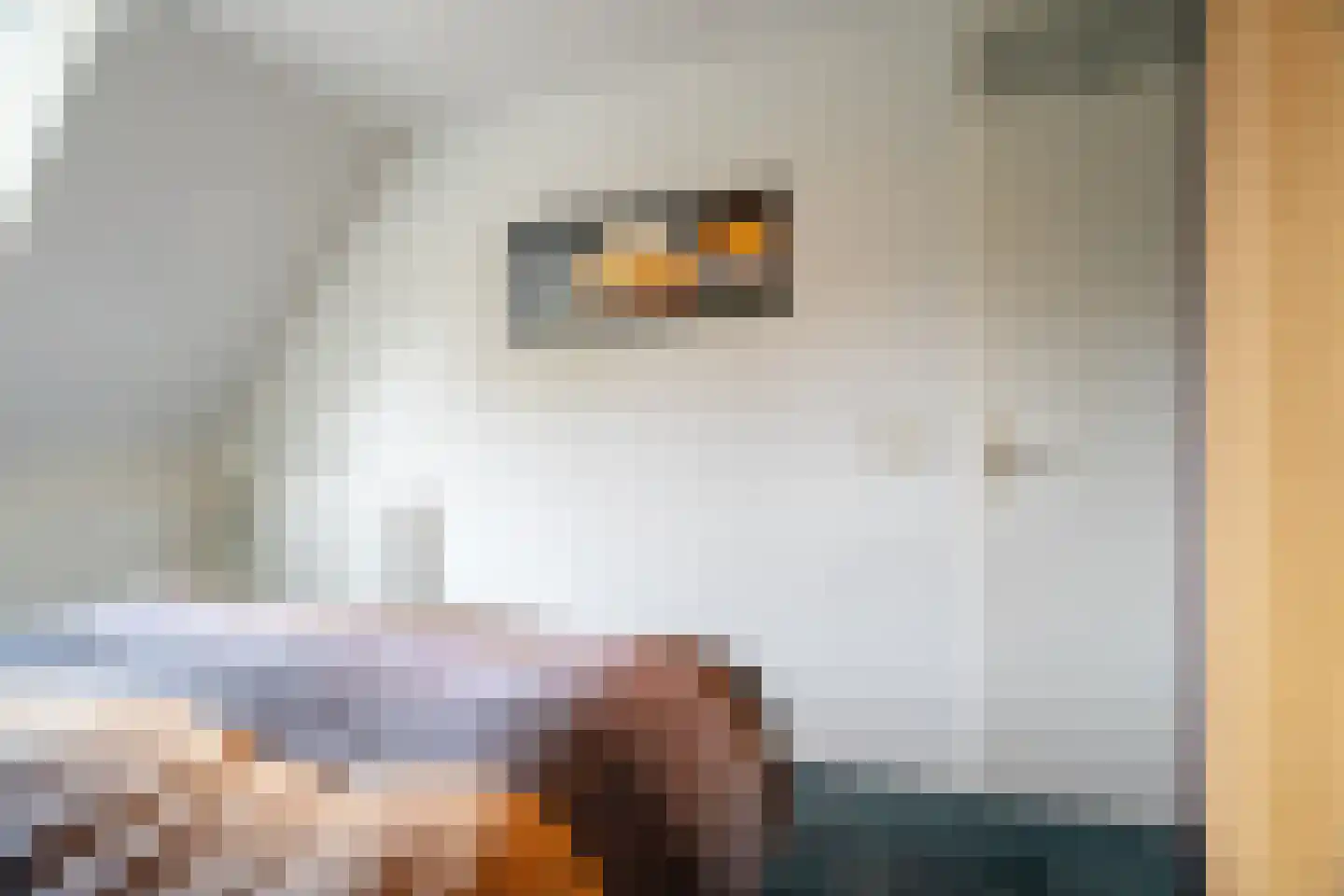 Juursemakluft 5 Grijpskerk thumbnail 40