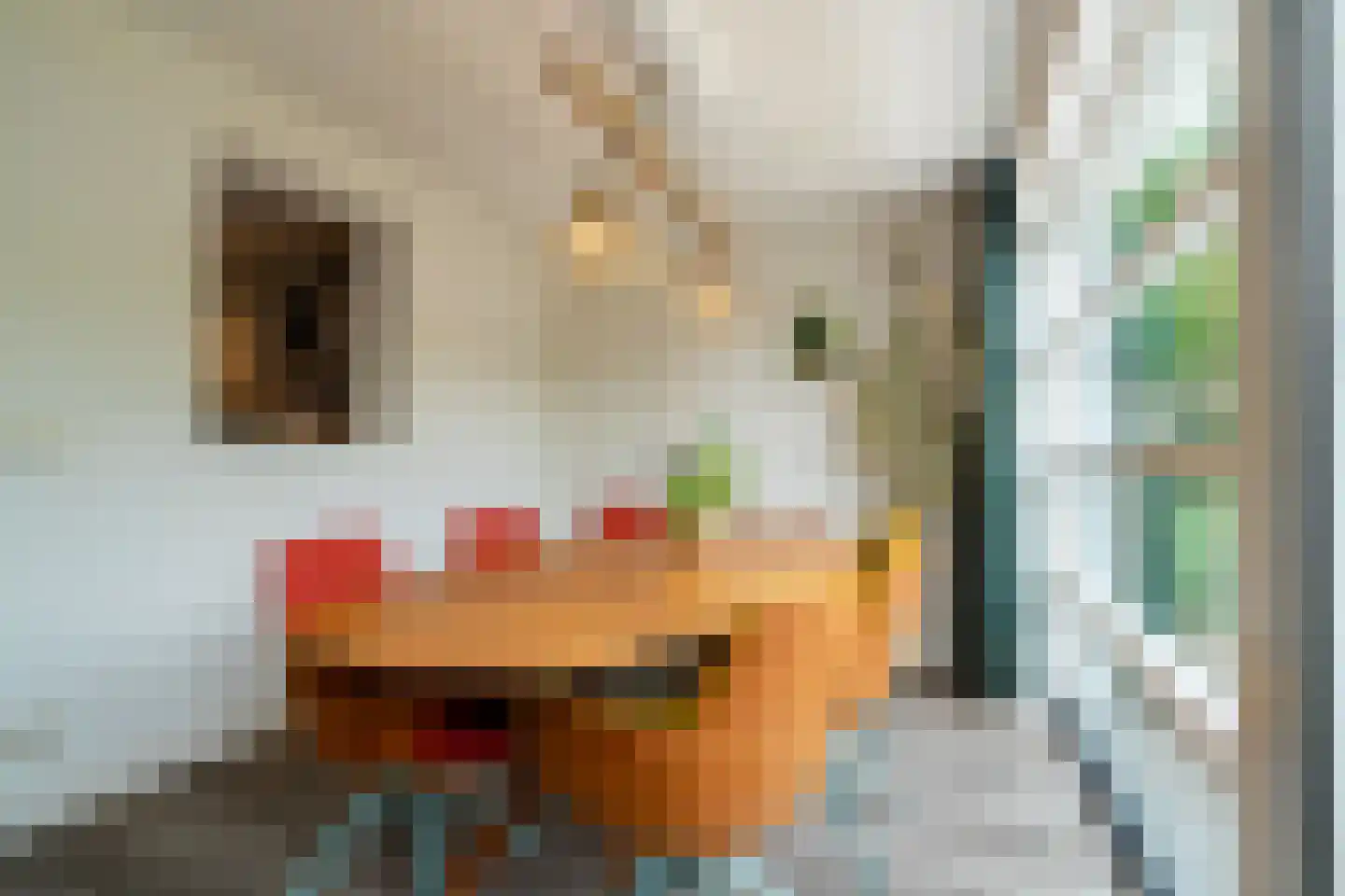 Juursemakluft 5 Grijpskerk thumbnail 5