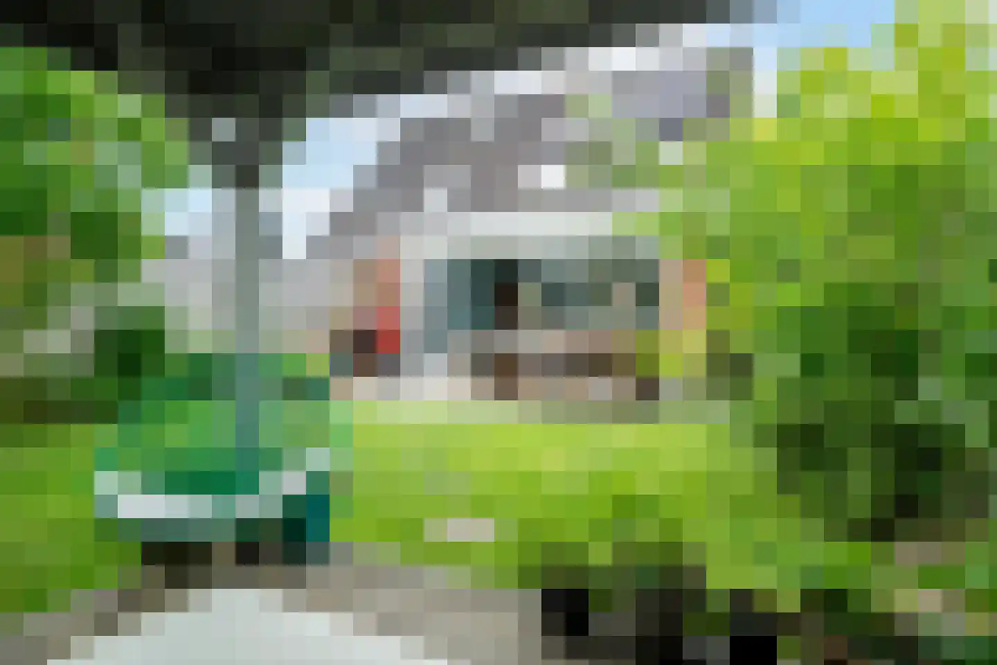 Juursemakluft 5 Grijpskerk thumbnail 58