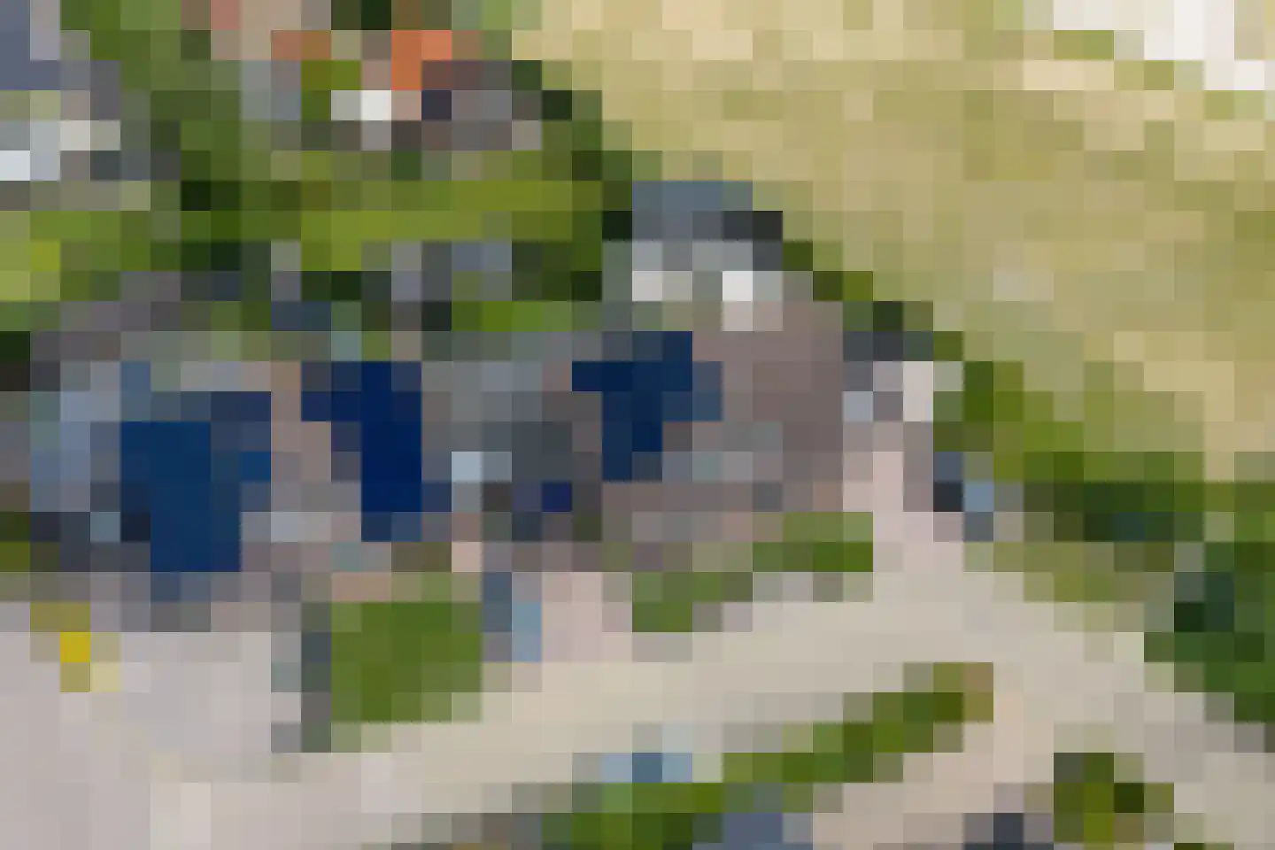 Juursemakluft 5 Grijpskerk thumbnail 61