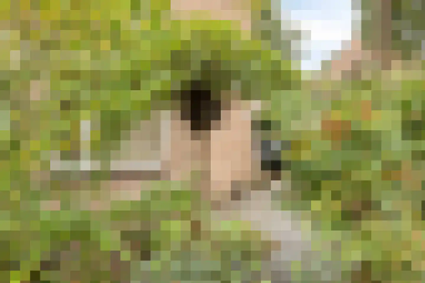 Juweellaan 161 Zoetermeer thumbnail 15