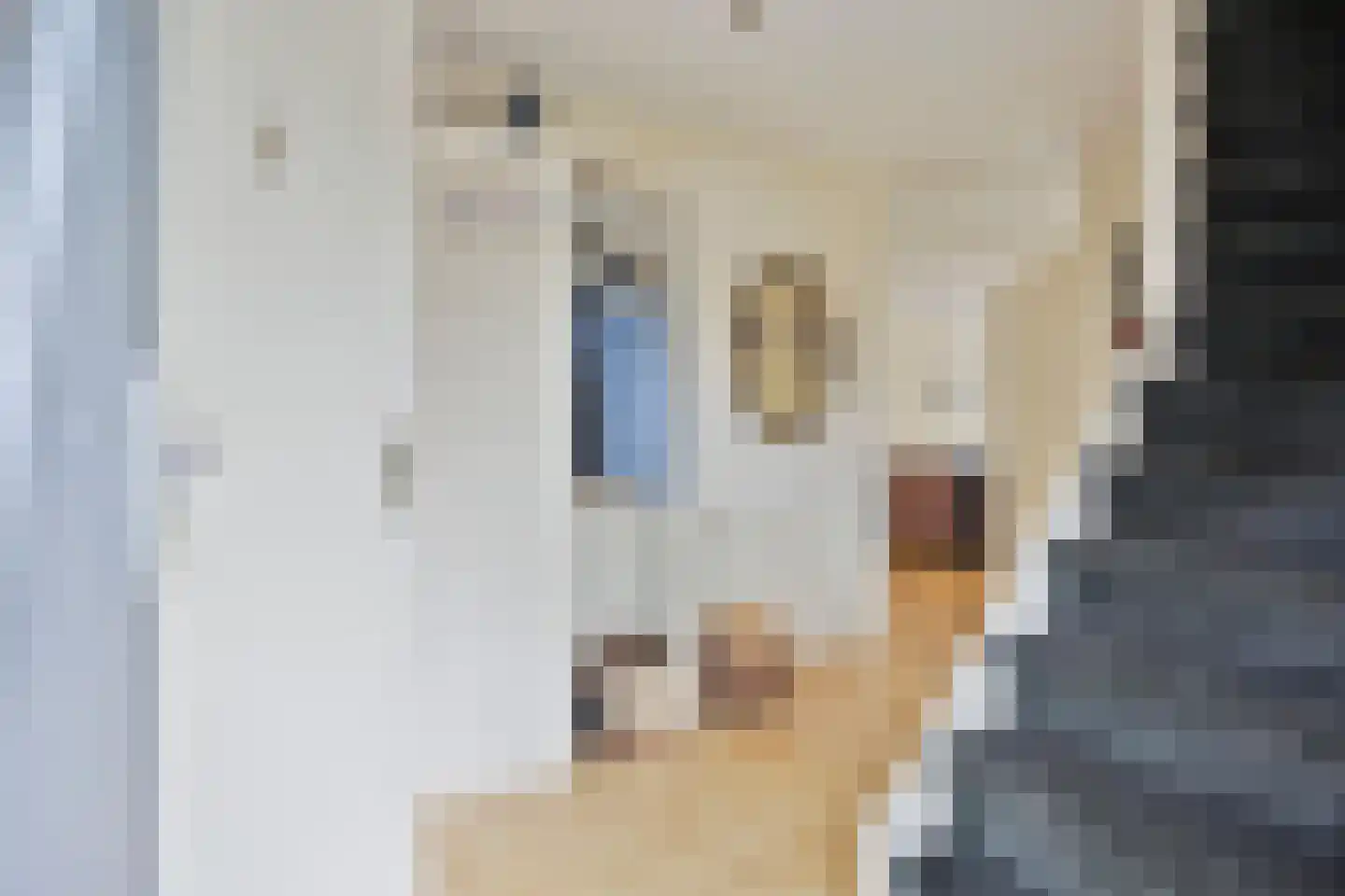 Juweellaan 161 Zoetermeer thumbnail 20