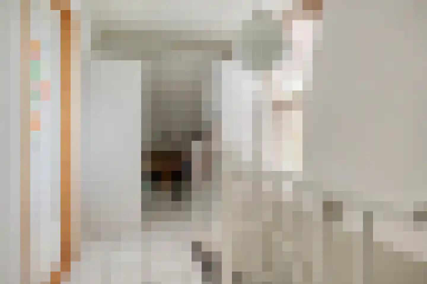 Juweellaan 161 Zoetermeer thumbnail 34