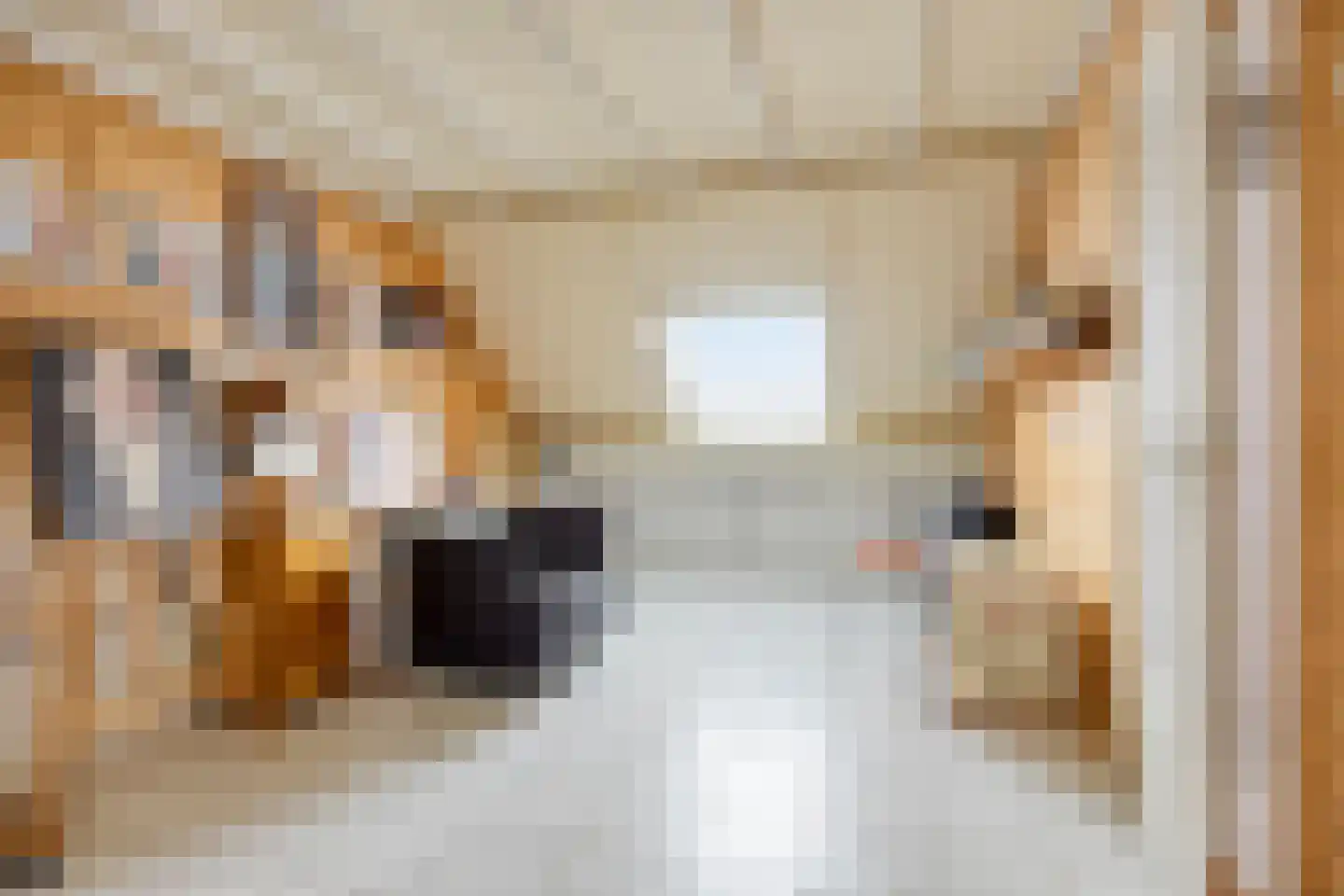 Juweellaan 161 Zoetermeer thumbnail 35
