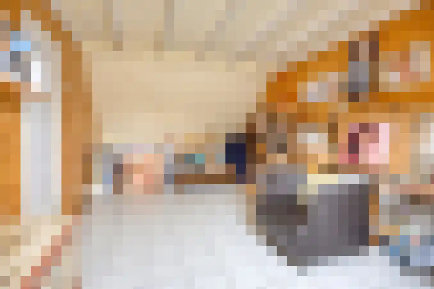 Juweellaan 161 Zoetermeer thumbnail 36