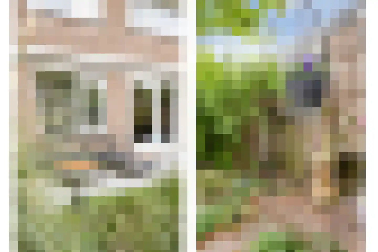 Juweellaan 161 Zoetermeer thumbnail 38