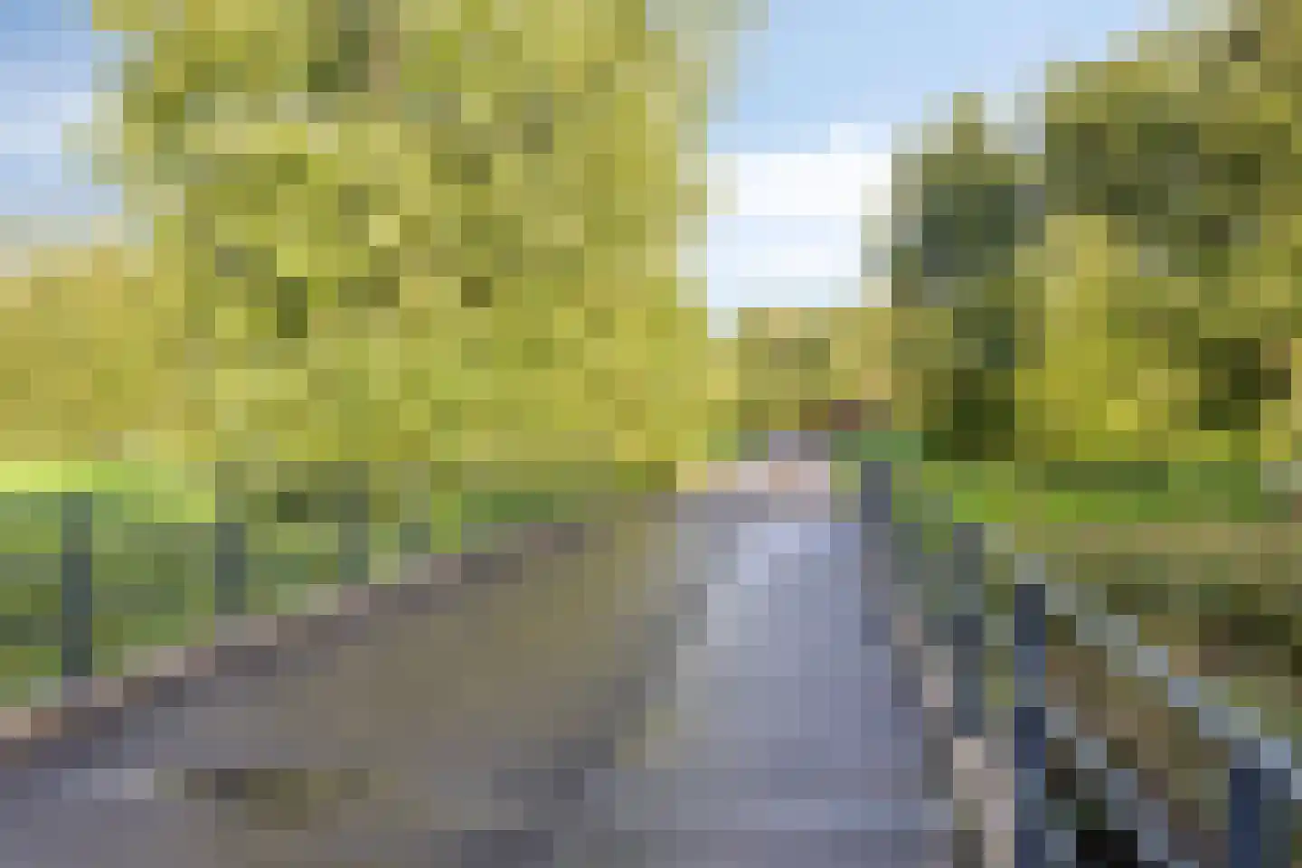 Juweellaan 161 Zoetermeer thumbnail 45