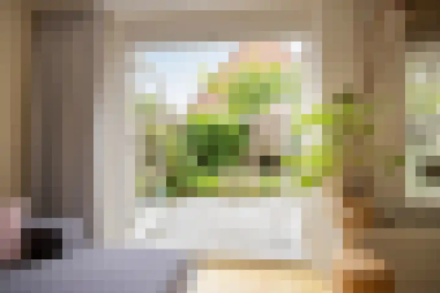 Juweellaan 161 Zoetermeer thumbnail 6