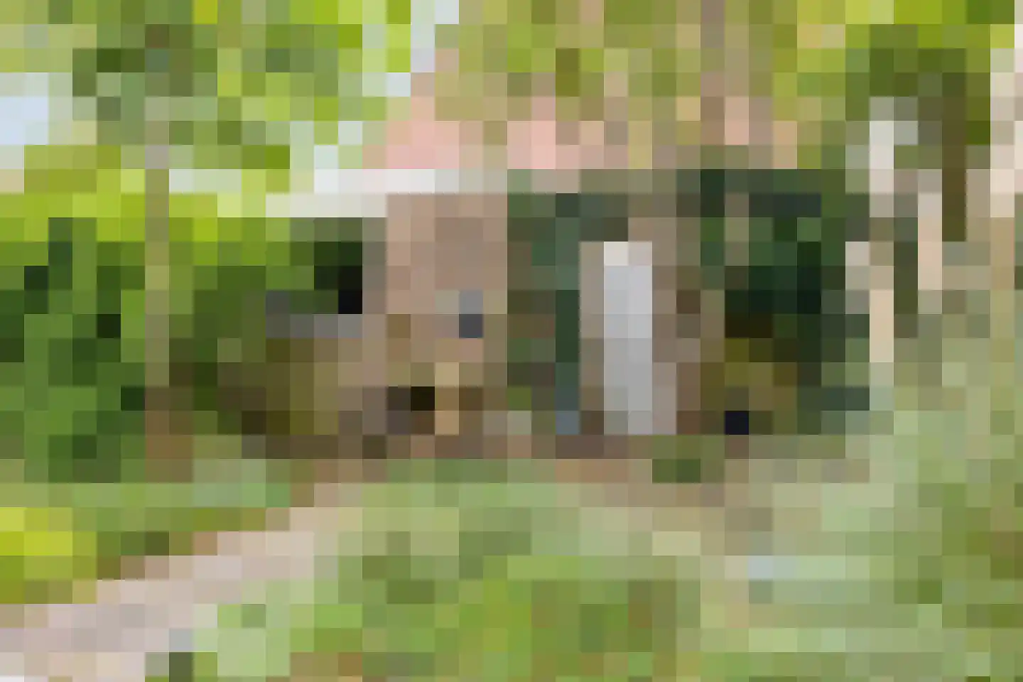Juweellaan 161 Zoetermeer thumbnail 7