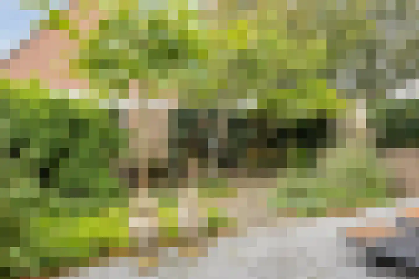 Juweellaan 161 Zoetermeer thumbnail 8