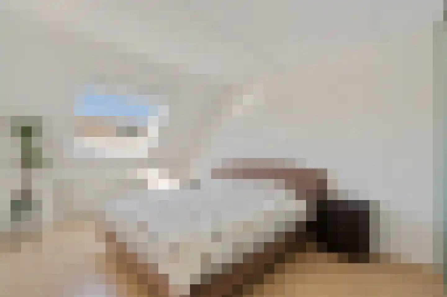 Juweellaan 225 Zoetermeer thumbnail 20
