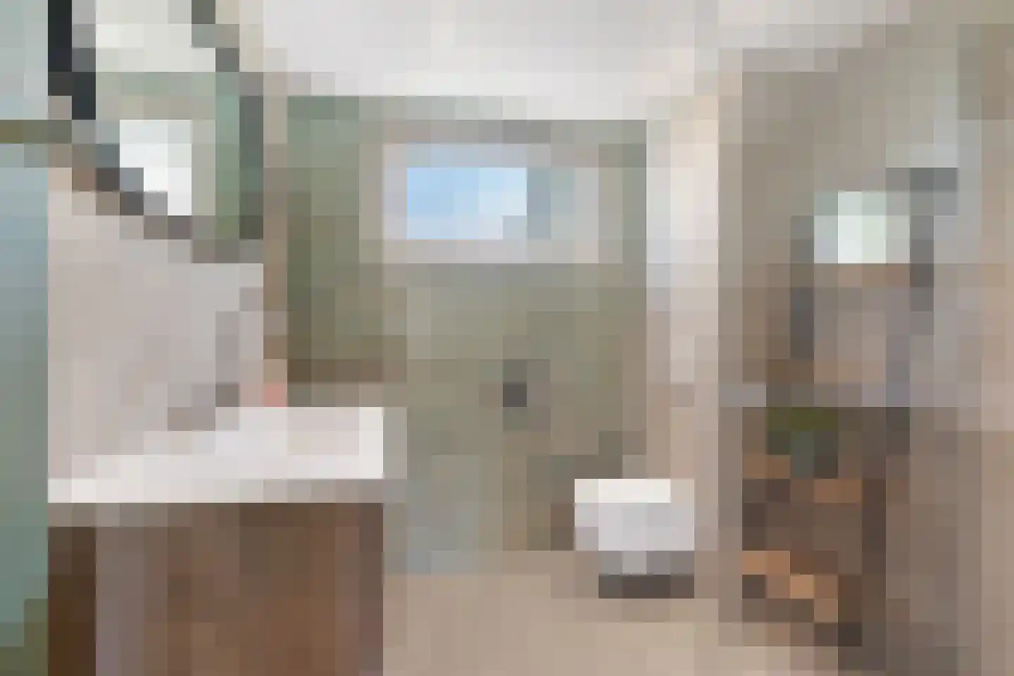 Juweellaan 225 Zoetermeer thumbnail 22