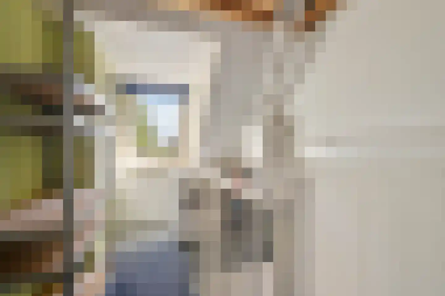 Juweellaan 225 Zoetermeer thumbnail 30