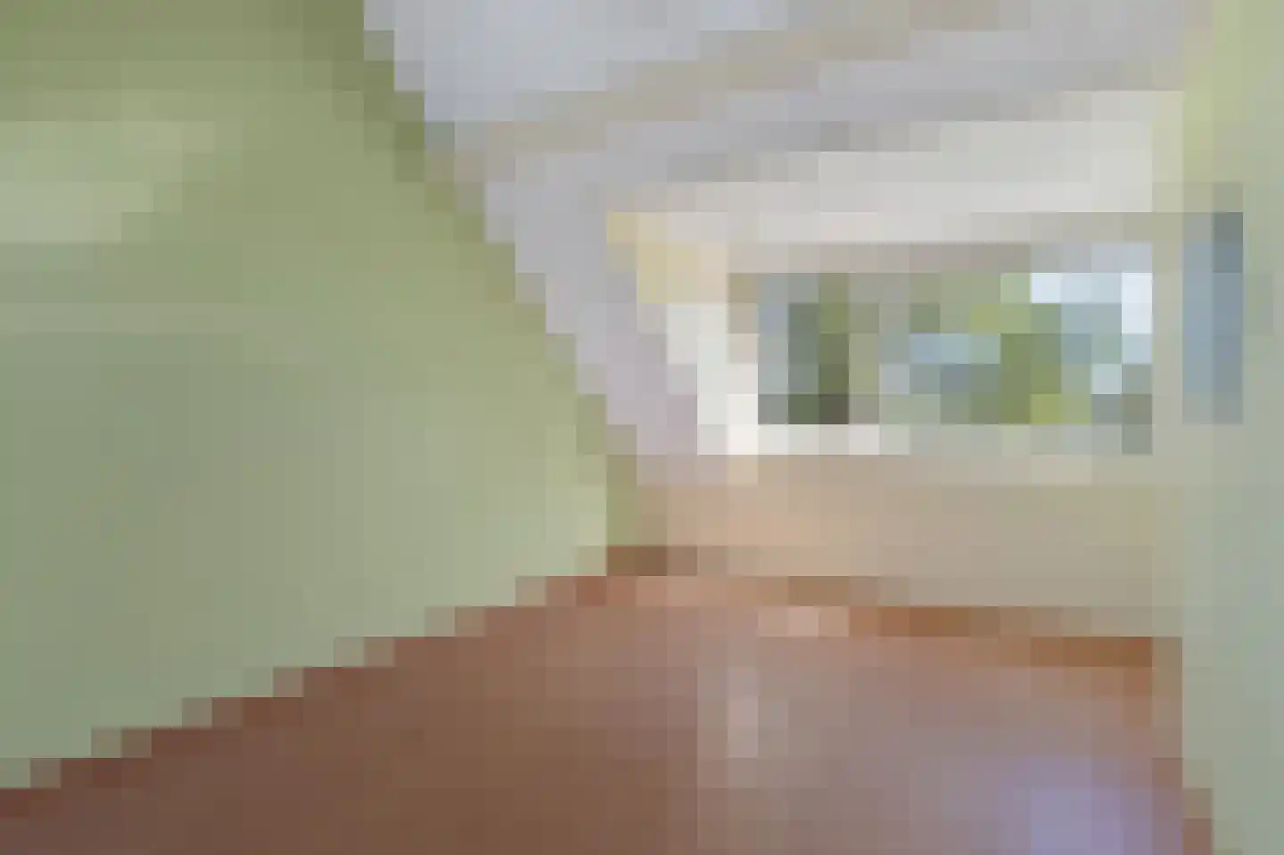 Juweellaan 225 Zoetermeer thumbnail 31