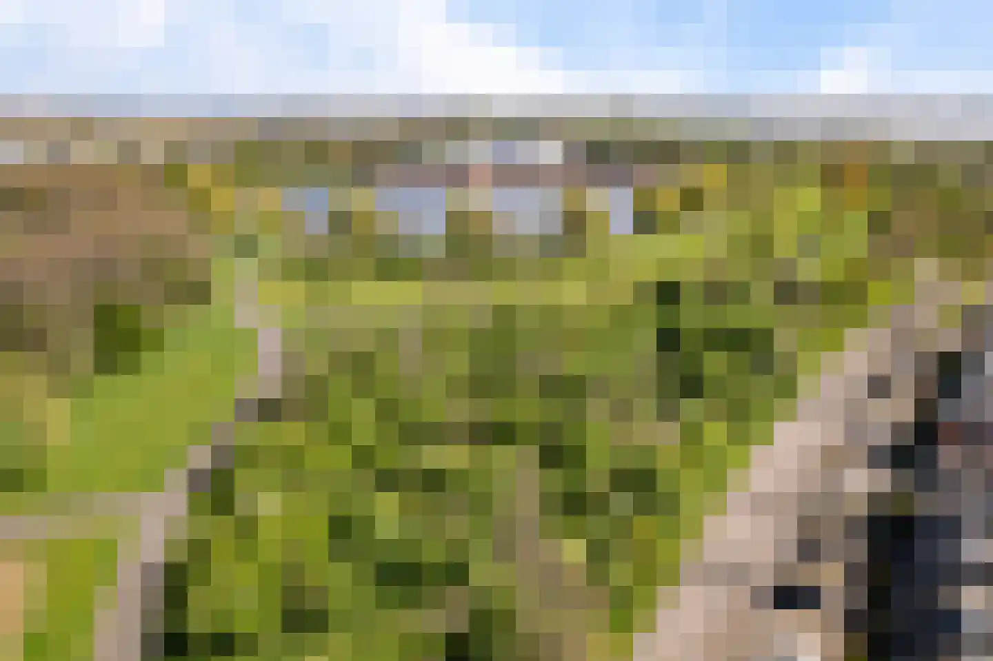 Juweellaan 225 Zoetermeer thumbnail 42