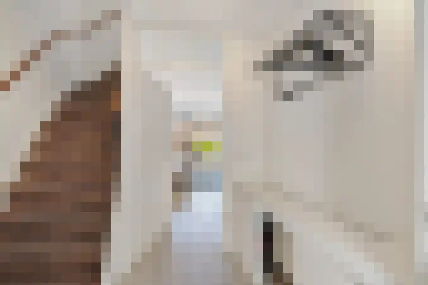 Juweellaan 225 Zoetermeer thumbnail 6