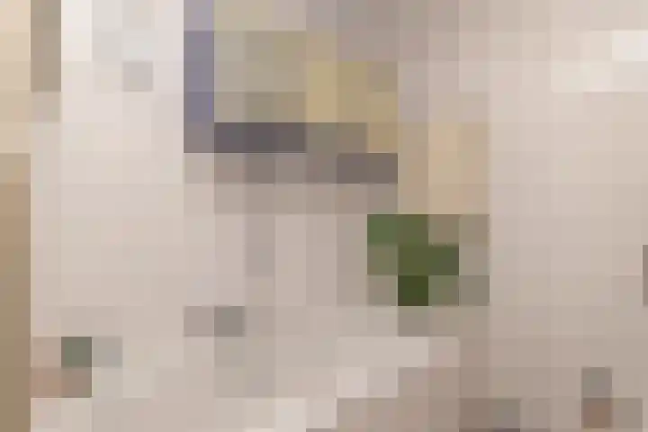 Juweellaan 478 Zoetermeer thumbnail 18