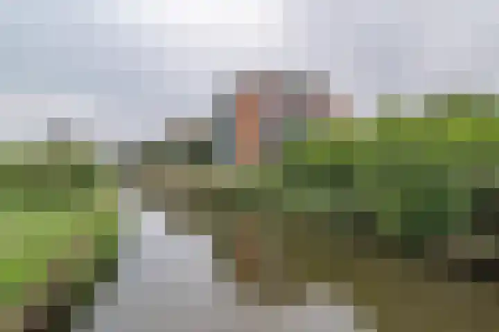 Juweellaan 478 Zoetermeer thumbnail 21