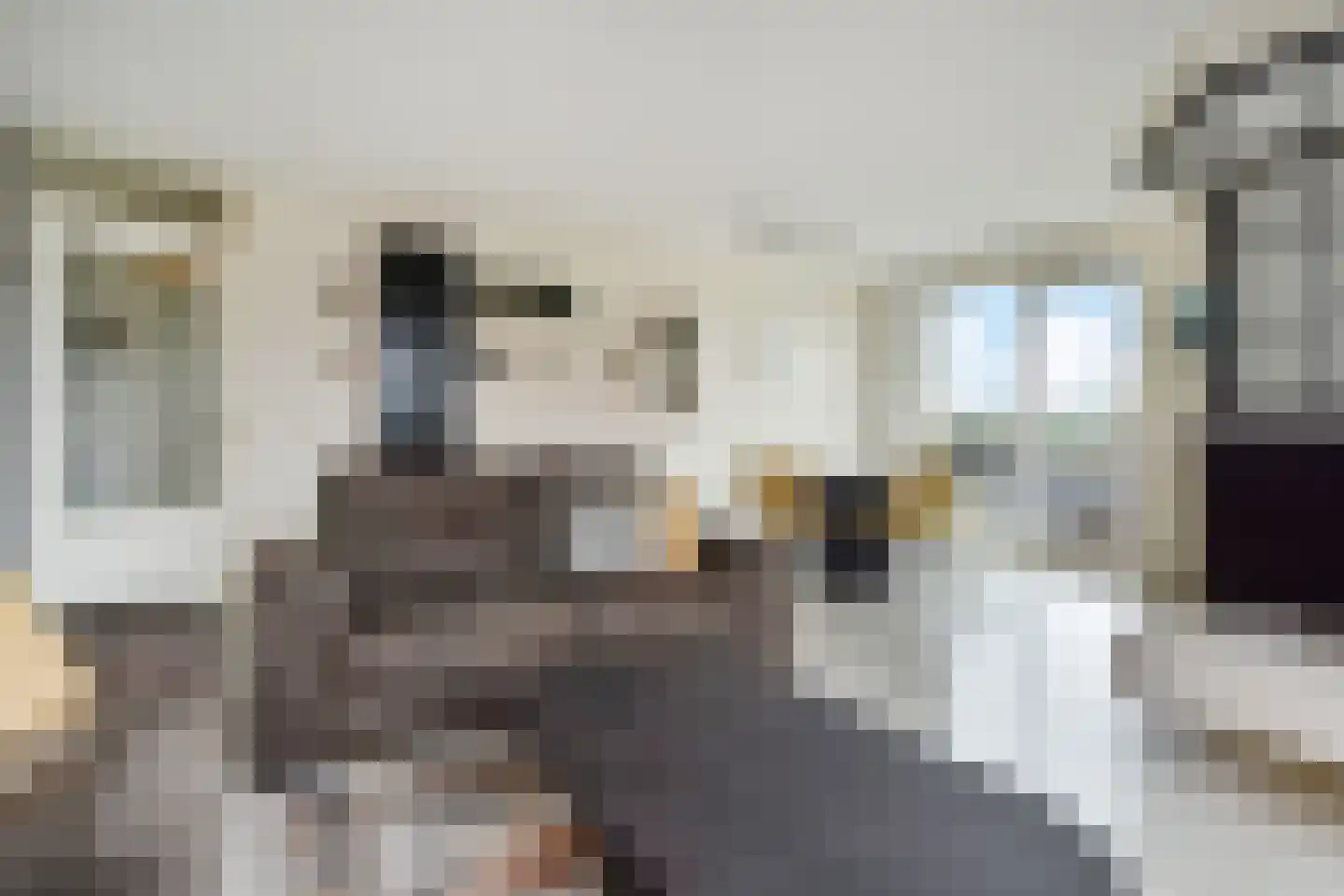 Juweellaan 488 Zoetermeer thumbnail 7