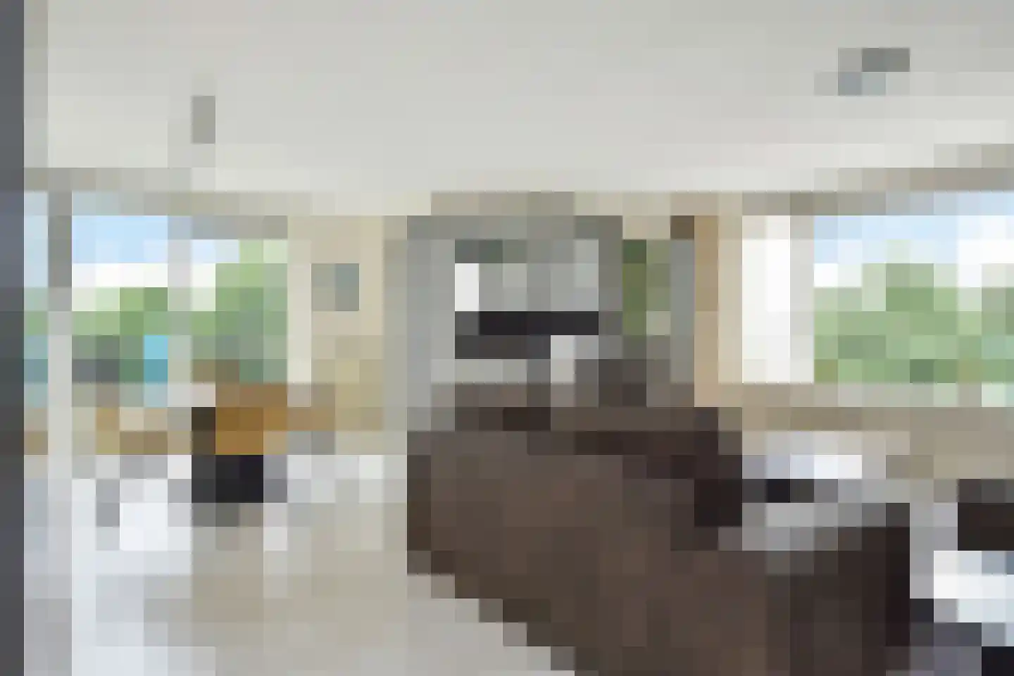 Juweellaan 488 Zoetermeer thumbnail 8