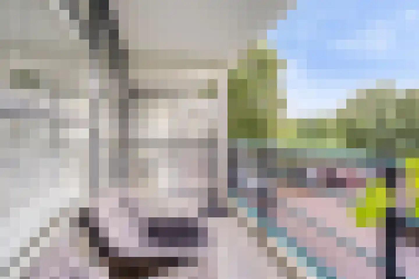 Juweellaan 548 Zoetermeer thumbnail 23