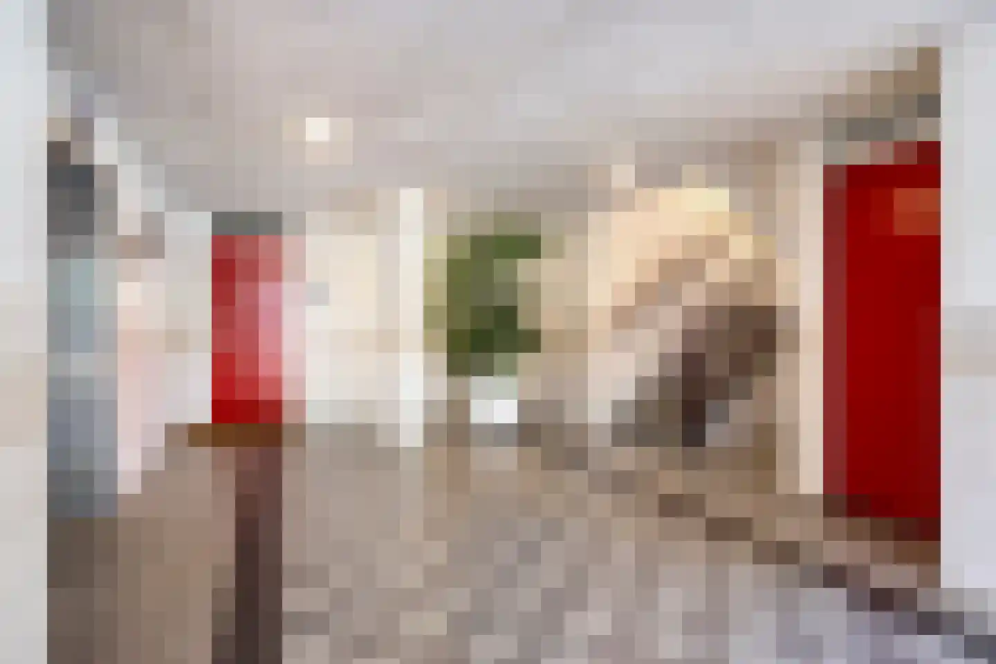 Juweellaan 548 Zoetermeer thumbnail 9