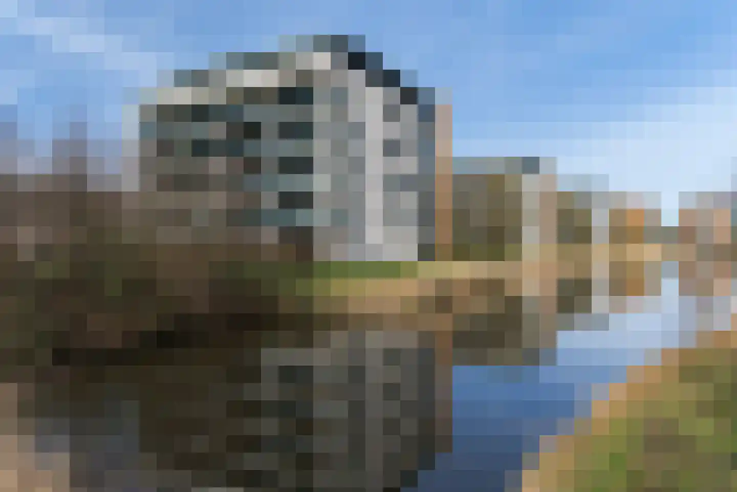 Juweellaan 596 Zoetermeer thumbnail 29