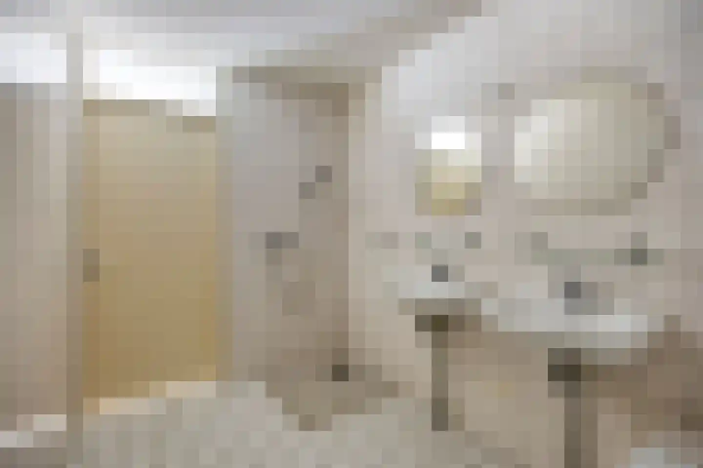 Juweellaan 646 Zoetermeer thumbnail 28