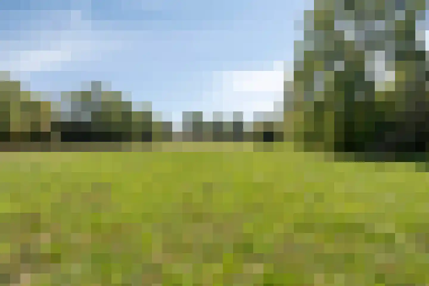 Juweellaan 646 Zoetermeer thumbnail 40