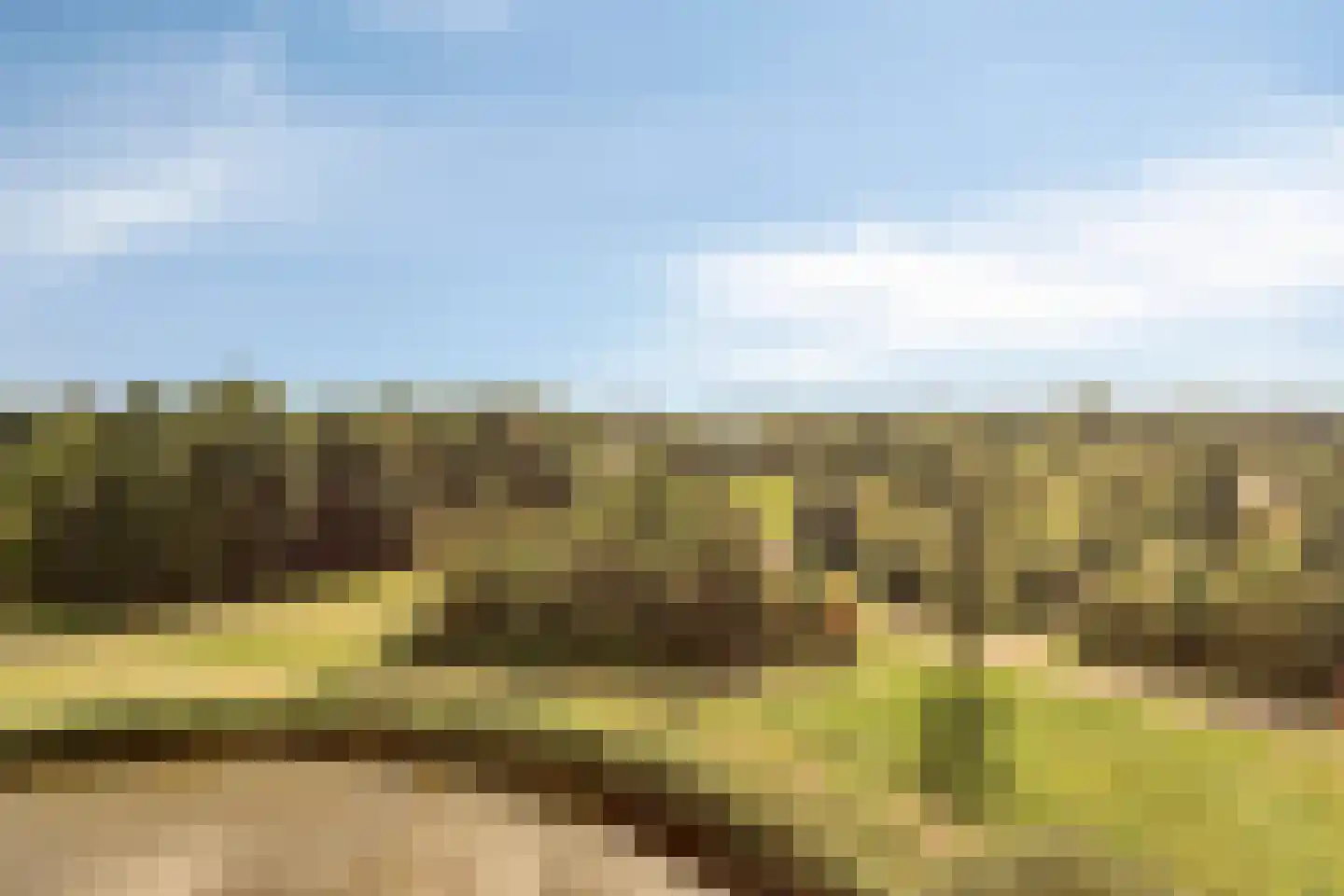Juweellaan 672 Zoetermeer thumbnail 13