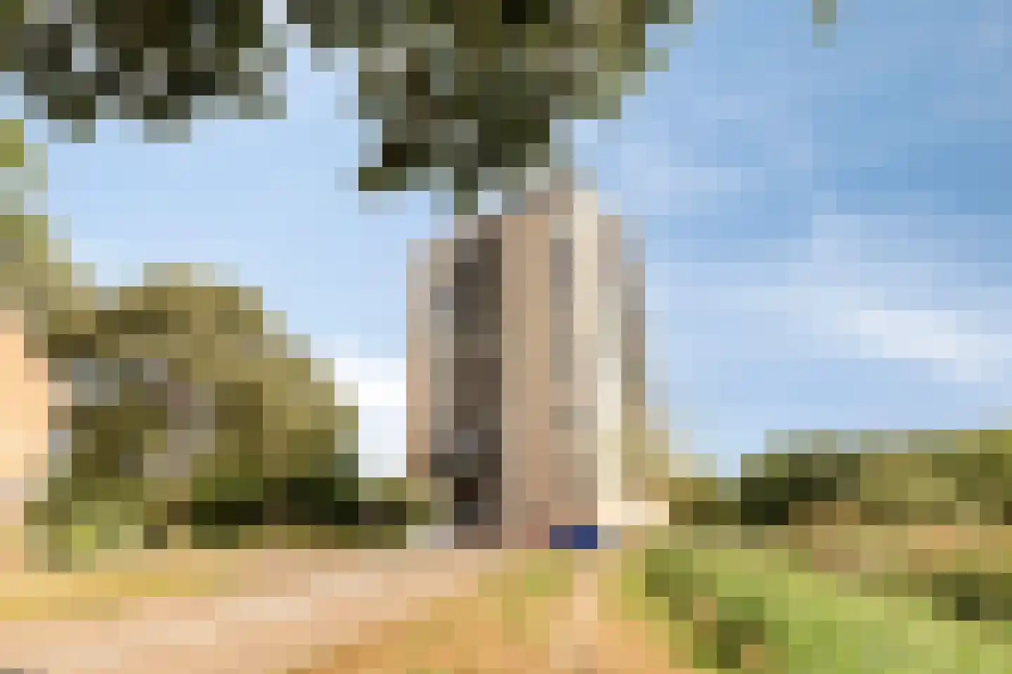 Juweellaan 672 Zoetermeer thumbnail 31