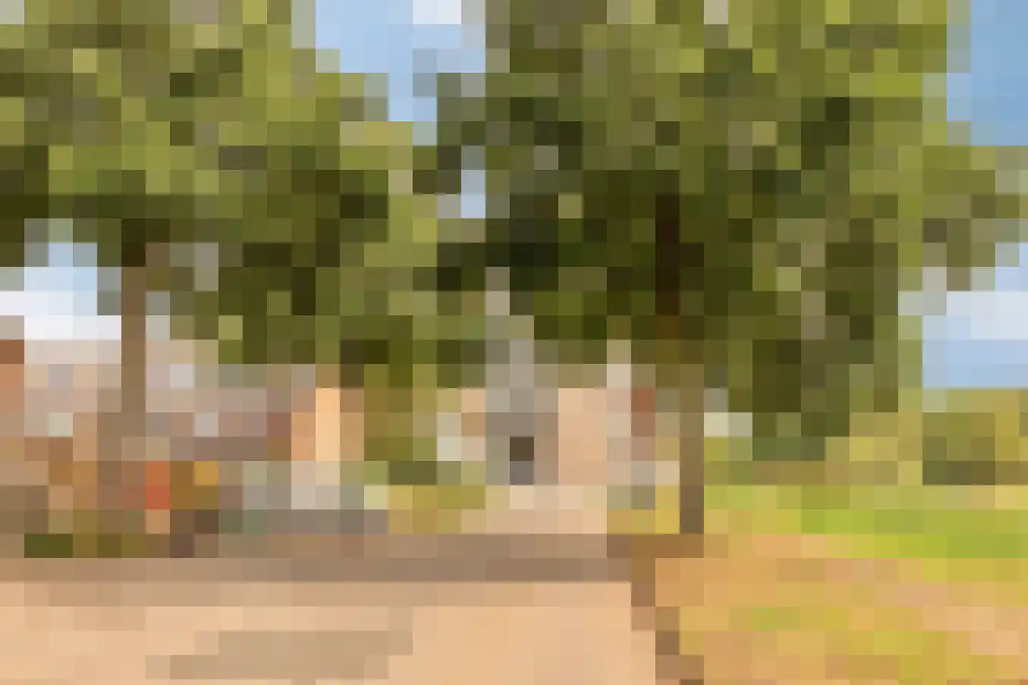 Juweellaan 672 Zoetermeer thumbnail 34