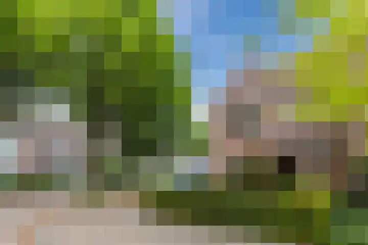 Juweelstraat 1 Loon op Zand thumbnail 32