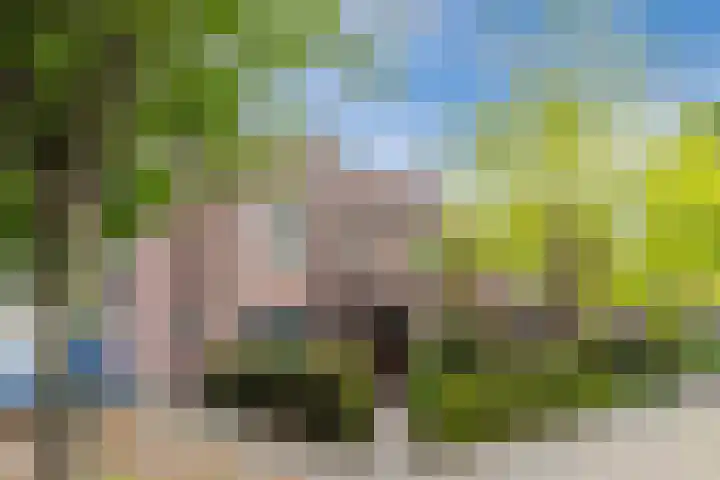 Juweelstraat 1 Loon op Zand thumbnail 33