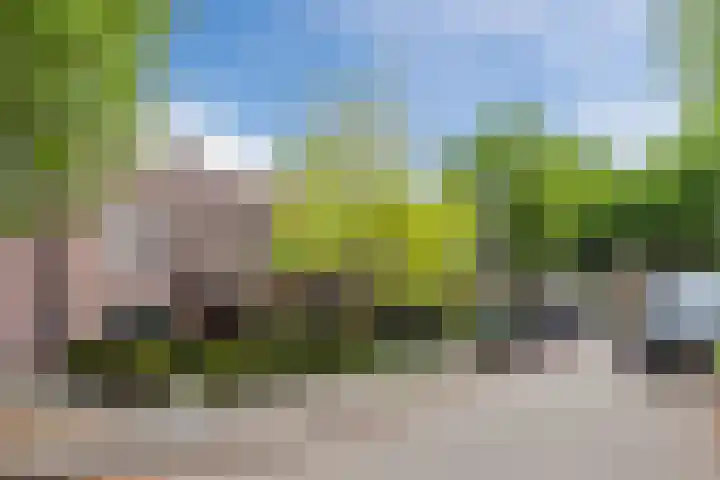 Juweelstraat 1 Loon op Zand thumbnail 34