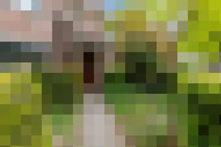 Juweelstraat 1 Loon op Zand thumbnail 35