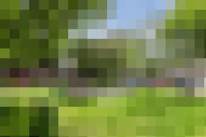 Juweelstraat 1 Loon op Zand thumbnail 36