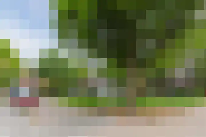 Juweelstraat 1 Loon op Zand thumbnail 37