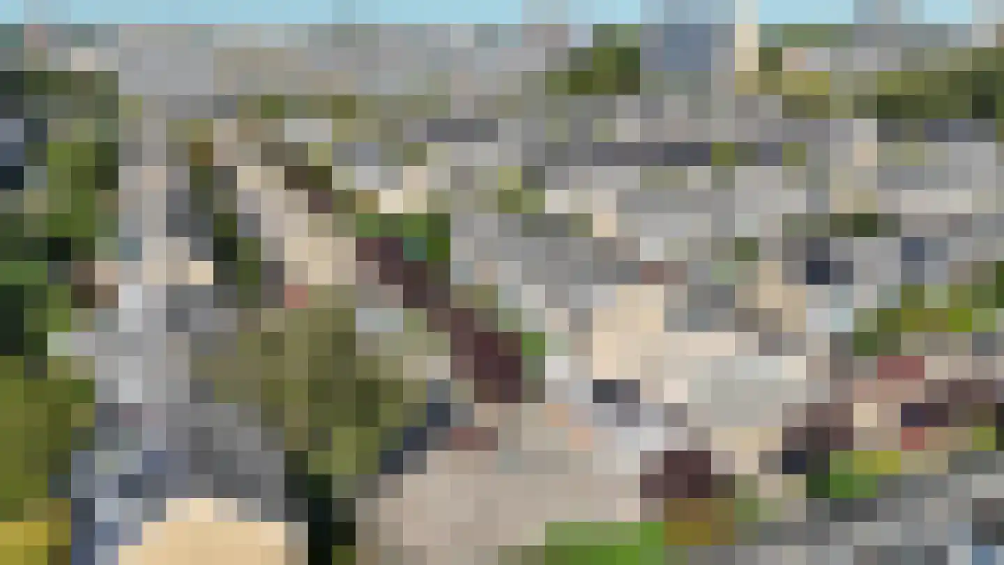 Juweelstraat 52 Alphen aan den Rijn thumbnail 33