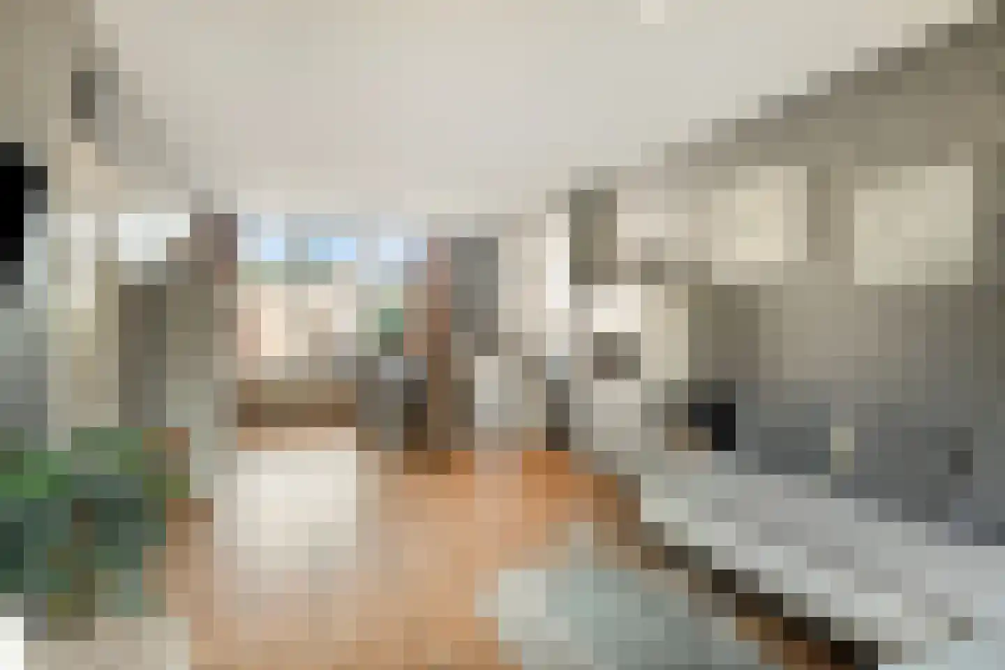Juweelstraat 52 Alphen aan den Rijn thumbnail 4
