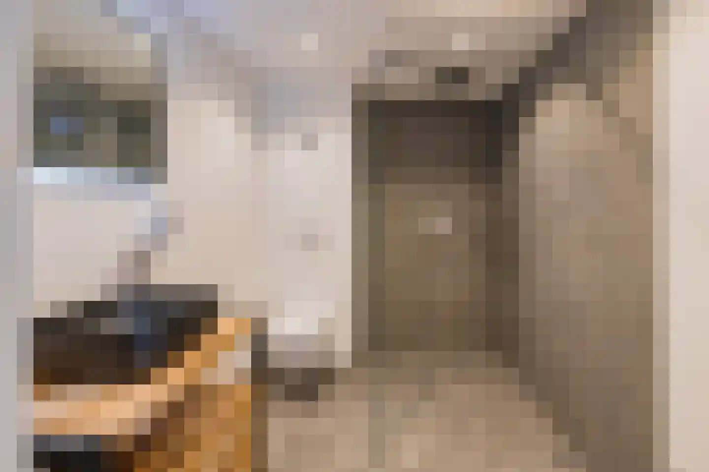 Juweelstraat 75 Alphen aan den Rijn thumbnail 22
