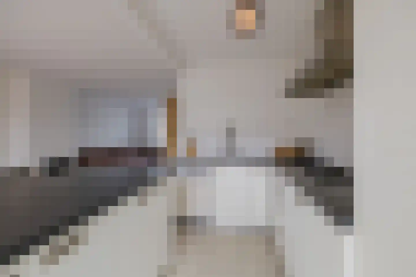 Juweelstraat 75 Alphen aan den Rijn thumbnail 7