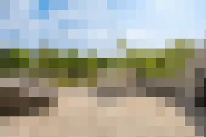 Juwelenhof 5 Almere thumbnail 11