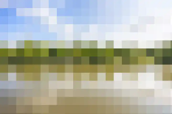Juwelenhof 5 Almere thumbnail 14