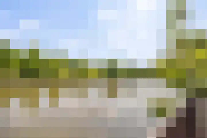 Juwelenhof 5 Almere thumbnail 15
