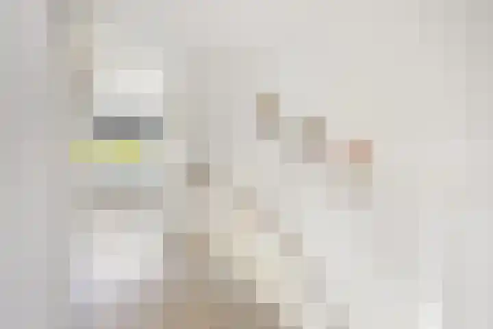 Juwelenhof 5 Almere thumbnail 26
