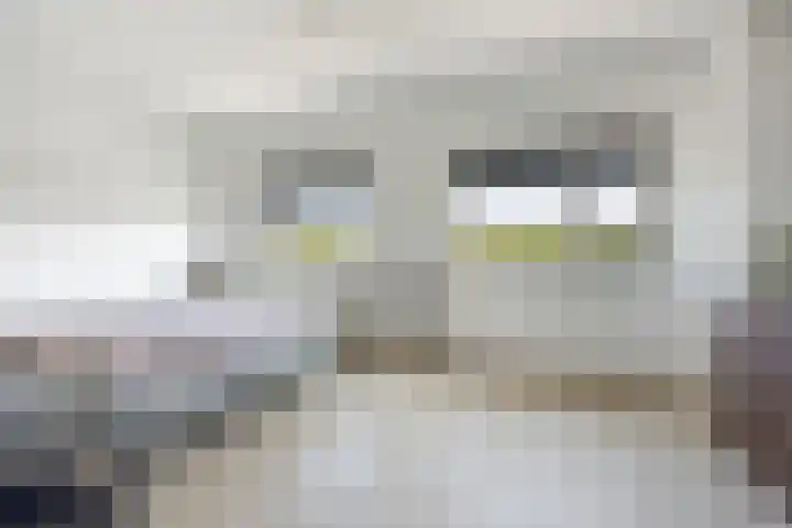 Juwelenhof 5 Almere thumbnail 27
