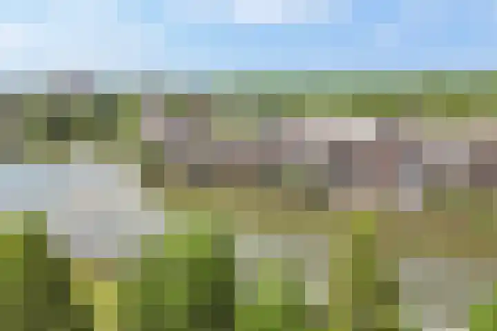 Juwelenhof 5 Almere thumbnail 41